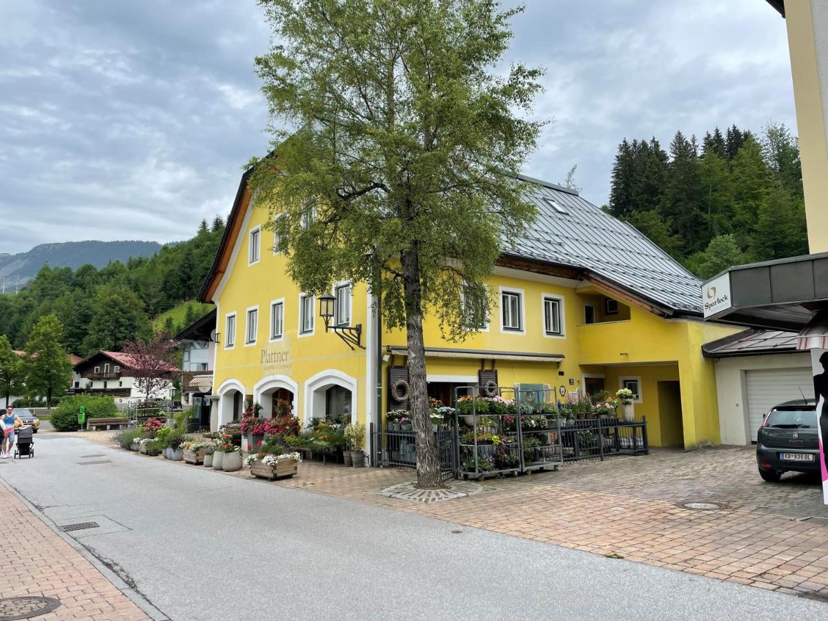 Haus Central Fieberbrunn By Alpine Host Helpers 外观 照片